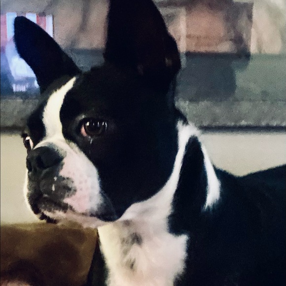 Meet your Posher, Alison - Picture 2 of 4